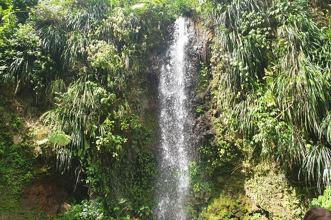 Scenic Tour of Soufriere - Toraille Waterfall and a quick rainforest swim