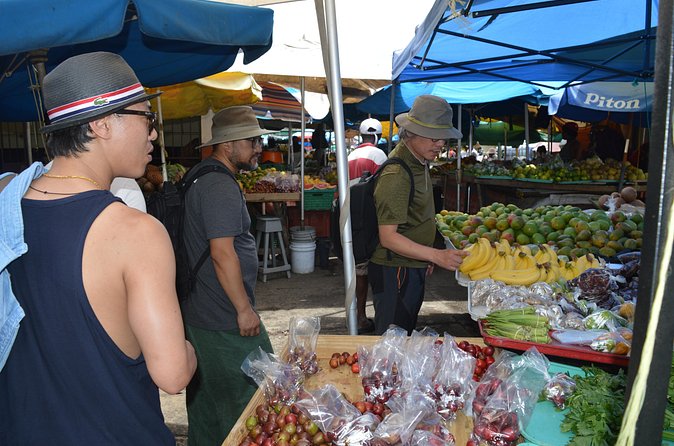 Shopping - St Lucia Got Talent Tour - Morne Fortune for the Castries view