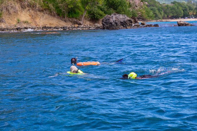 Snorkeling at Pigeon Island - What the private guide adds