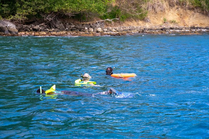 Snorkeling at Pigeon Island - Who will enjoy this most?