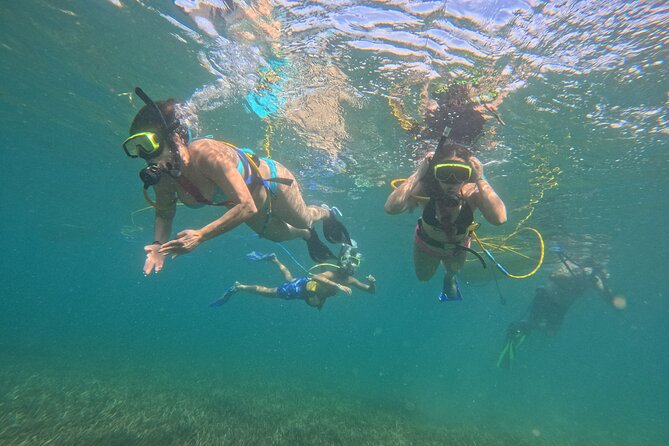 SNUBA Saint Lucia - Fish, coral, and the limits of visibility