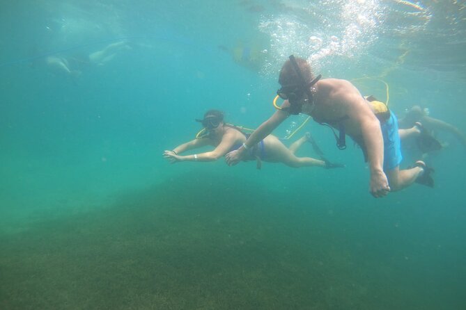 SNUBA Saint Lucia - Who should book SNUBA Saint Lucia?
