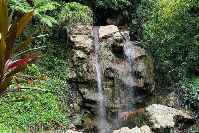 Soufriere Catamaran Excursion & Sapphire Falls Hike - A full west-coast day from Rodney Bay