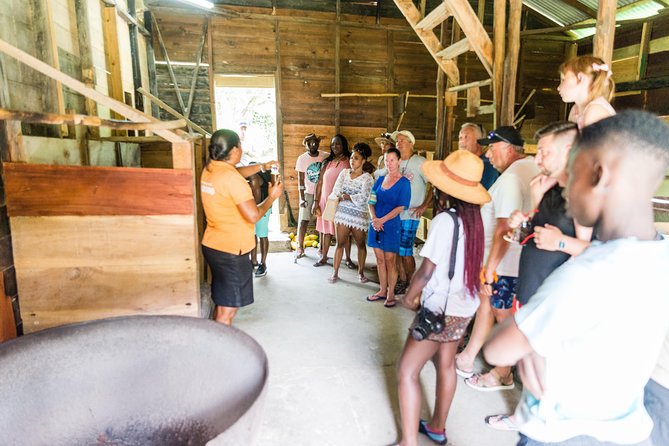 Soufriere Excursion with Rum & Chocolate Tasting - Forty minutes for swimming and snorkeling