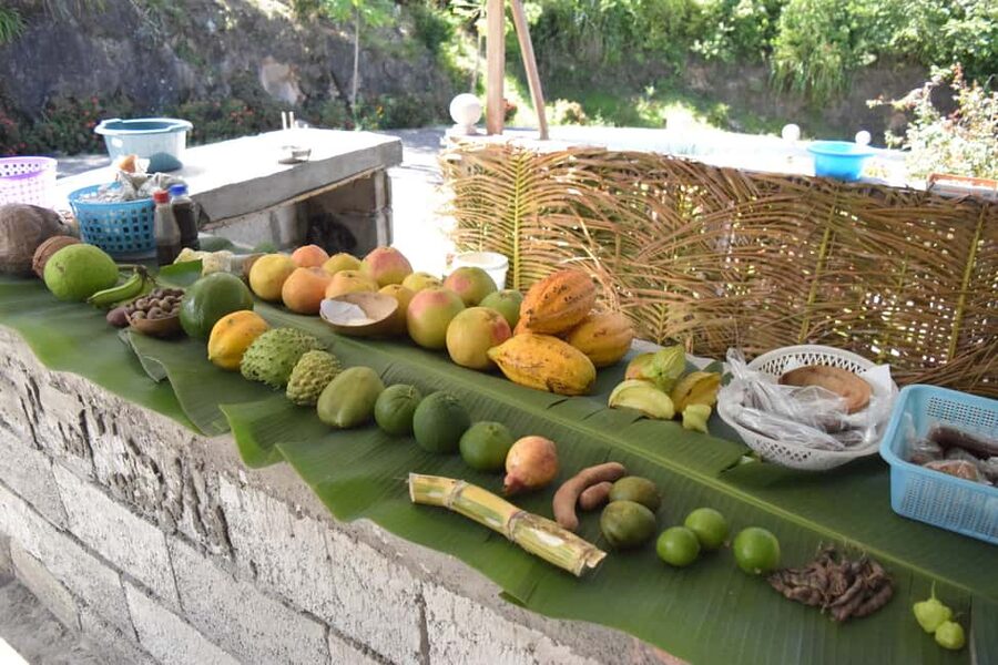 Soufriere Private Day Tour - What Owin adds to the day