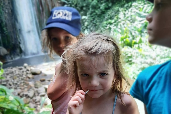Soufriere Special Day Tour - Diamond Falls: confirm the actual schedule