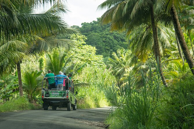 Soufriere Volcano Experience - A 15-minute walk to River Pool Waterfall
