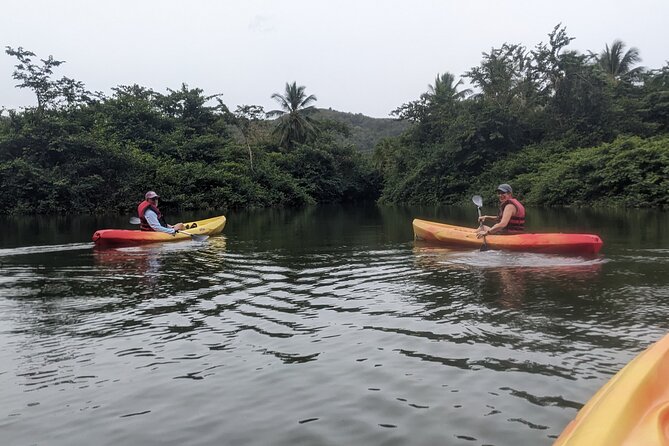 Splash Adventure Jeep and Kayak Safari - Roseau plantation and 400 years of farming