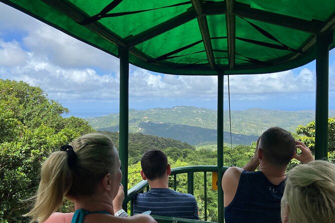 St. Lucia 3 in 1 Combo: Aerial Tram, Rainforest Trail & Zipline - The trail puts names and meaning to the forest