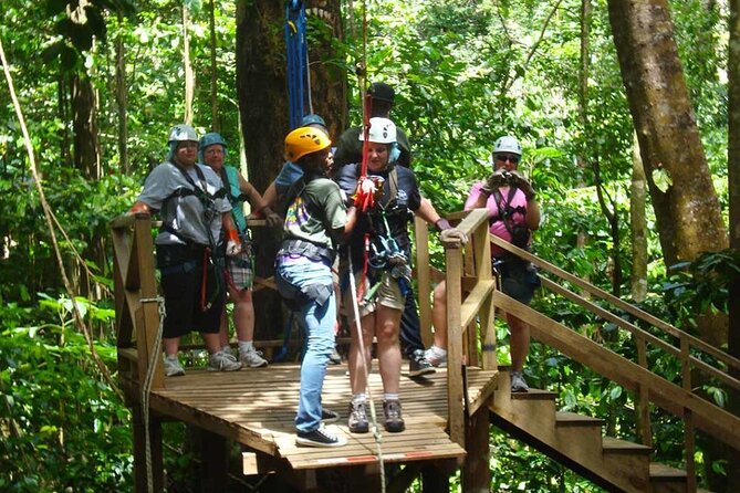 St. Lucia 3 in 1 Combo: Aerial Tram, Rainforest Trail & Zipline - Eight zip lines bring the action