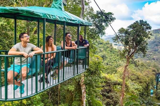 St. Lucia 3 in 1 Combo: Aerial Tram, Rainforest Trail & Zipline - The ride up to Castries Waterworks Reserve