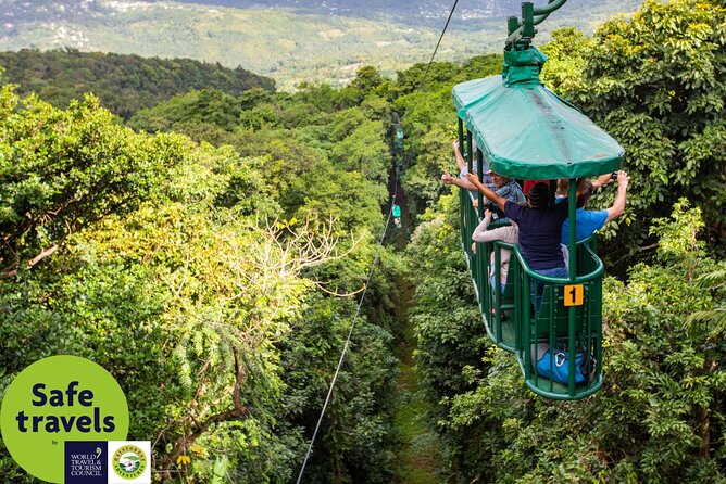 St. Lucia Aerial Tram Tour at Rainforest Adventures - What the naturalist guide adds