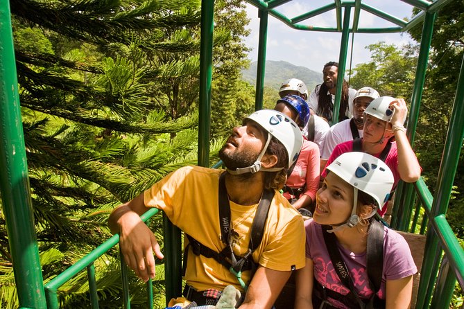 St. Lucia Aerial Tram Tour at Rainforest Adventures - The 20-minute fern trail changes the mood