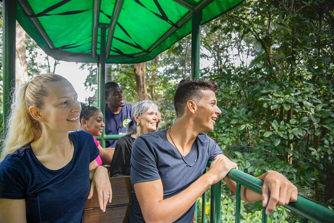 St. Lucia Aerial Tram Tour at Rainforest Adventures - The first 10 minutes: orientation and a slow start