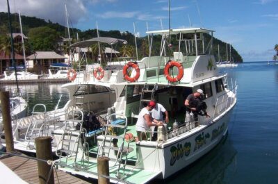 Beginner Scuba Diving Tour