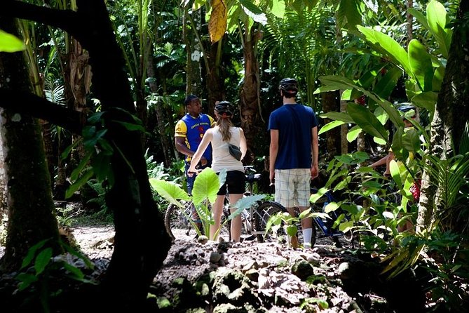 St Lucia Bike and Hike - What the open-air vehicle adds