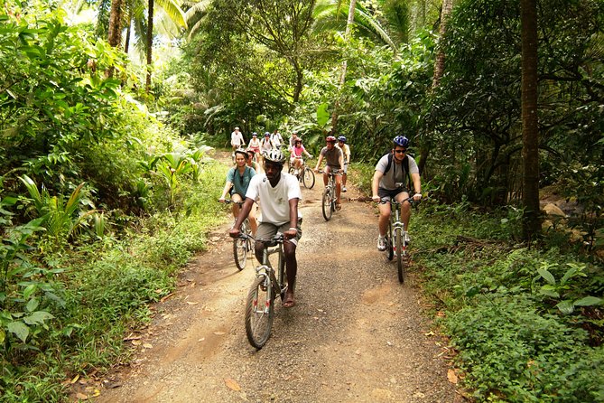 St Lucia Bike and Hike - The ride from Dennery begins on the road