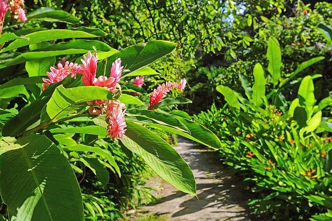 St. Lucia Botanical Gardens and Waterfall Tour Groups only - A west-coast sampler with the Pitons at its center