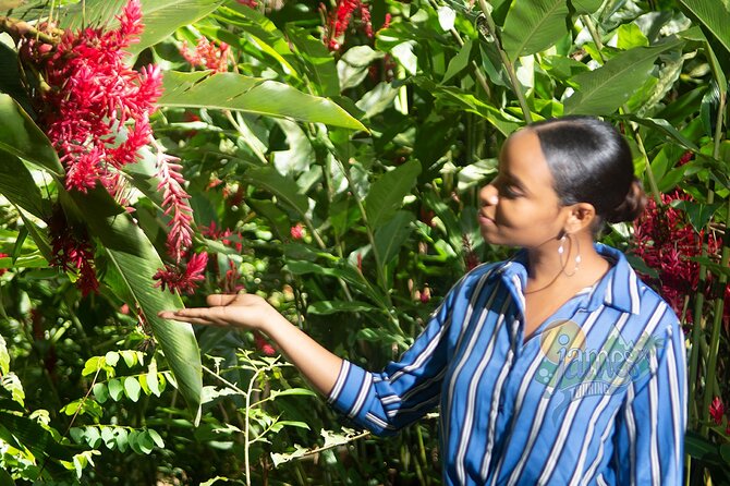 St. Lucia Botanical Gardens and Waterfall Tour Groups only - What the private format really gives you