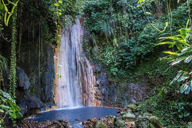 St. Lucia Botanical Gardens and Waterfall Tour Groups only - Anse La Raye, a fishing village with a slower pace