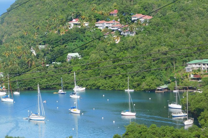St Lucia Castries to Pitons Tour - The Pitons viewpoint is short but memorable