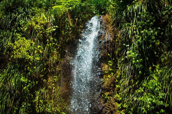 St Lucia Cruise Ship Excursion - Toraille Waterfall: refreshing, but not a swimming hole