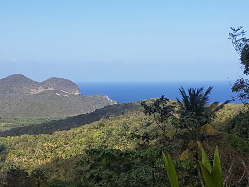 St Lucia: Gros Piton 4-Hour Guided Hike - The point of no return at the third quarter