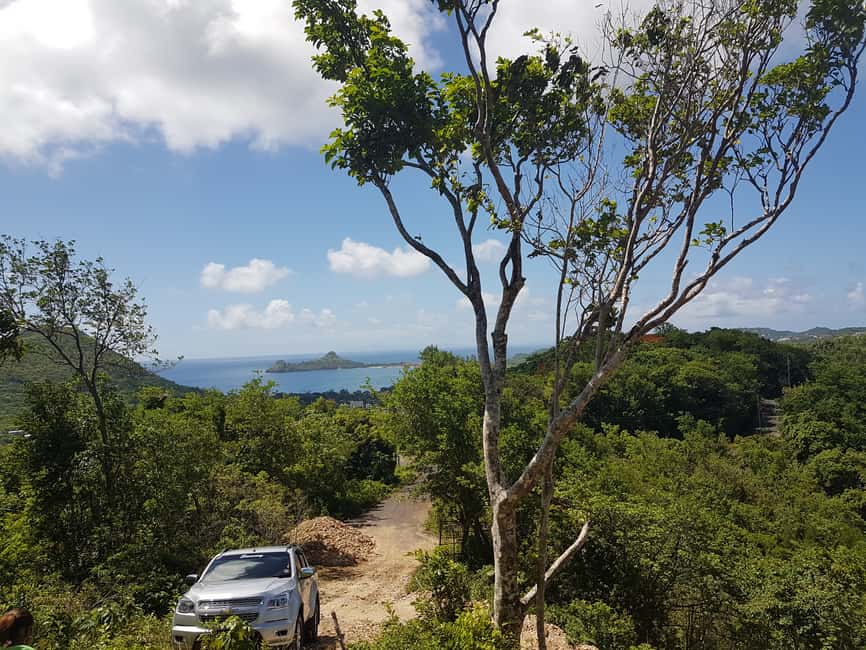 St Lucia: Gros Piton 4-Hour Guided Hike - How good is the guide service?