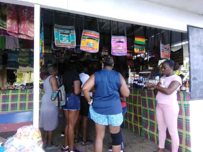St. Lucia: Highlights Tour with mud baths and waterfalls - Why this half-day works for first-time visitors