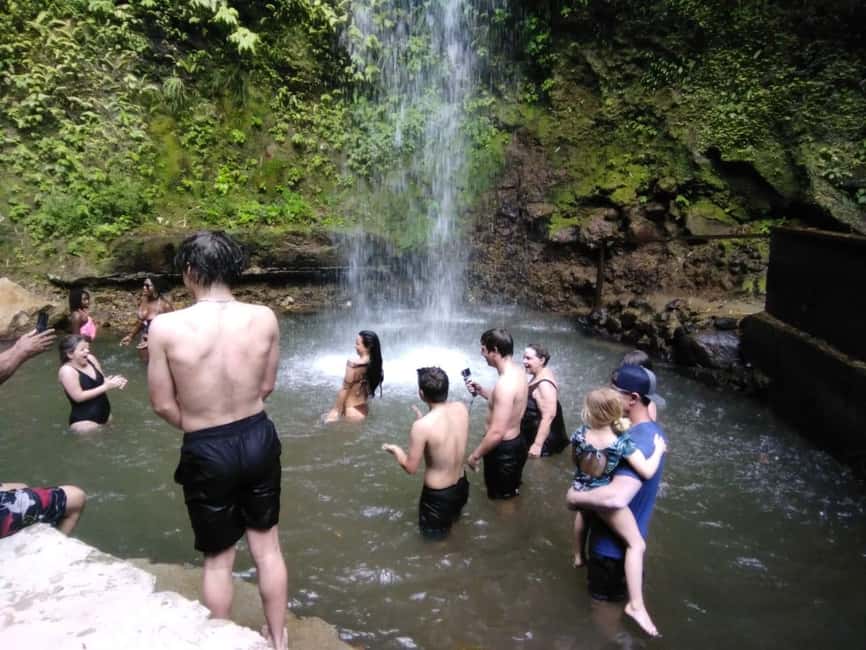 St. Lucia: Highlights Tour with mud baths and waterfalls - Diamond Falls Botanical Gardens: check the admission details