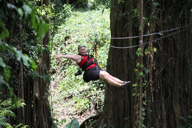 St. Lucia Morne Coubaril Estate Zipline Experience - The bamboo-shadowed gorge crossing