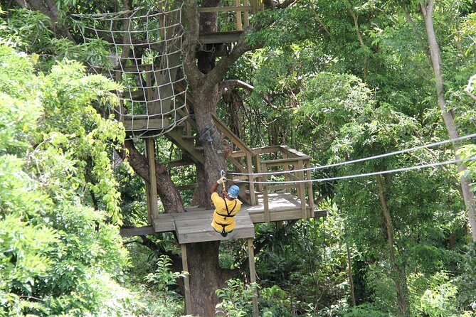 St. Lucia Morne Coubaril Estate Zipline Experience - Who will enjoy this course most