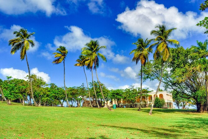 St Lucia Pigeon Island Ultimate Relax-Experience (Inc-Lunch) - Lunch at Joe Grill & Chill