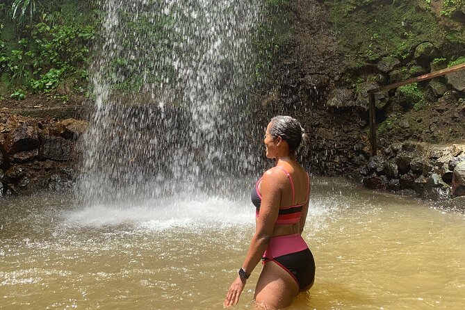 St Lucia Pitons Waterfalls and Mud Bath Experience. - Creole lunch with a view of the Pitons