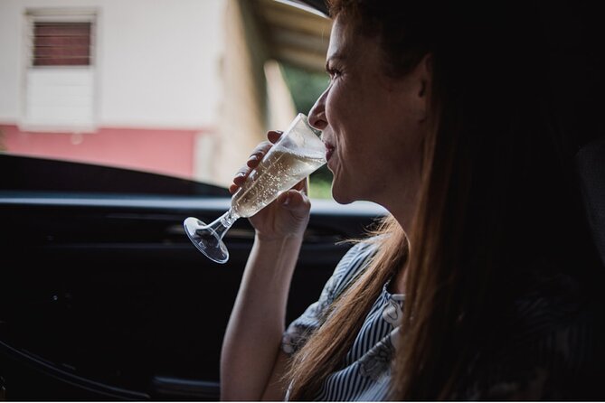 St Lucia Private Airport Transfer - Vacation Mode Activated! - Who will get the most from this transfer