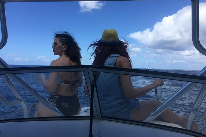 St. Lucia Private Boat Tour, Mud Bath, Waterfall & Beach Time - What the $260 price really buys