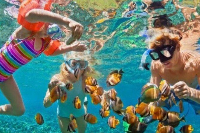 St Lucia Private Boat Tour/Sightseeing/Snorkeling - Marigot Bay, a calm stop with movie appeal