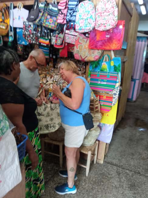 St. Lucia: Private Island Tour with Drinks & Transfers - Sulphur Springs and the Warm Mud Pools