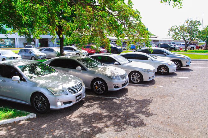 St Lucia Private Roundtrip Transfer: Hewanorra International Airport - Hewanorra Airport pickup after customs