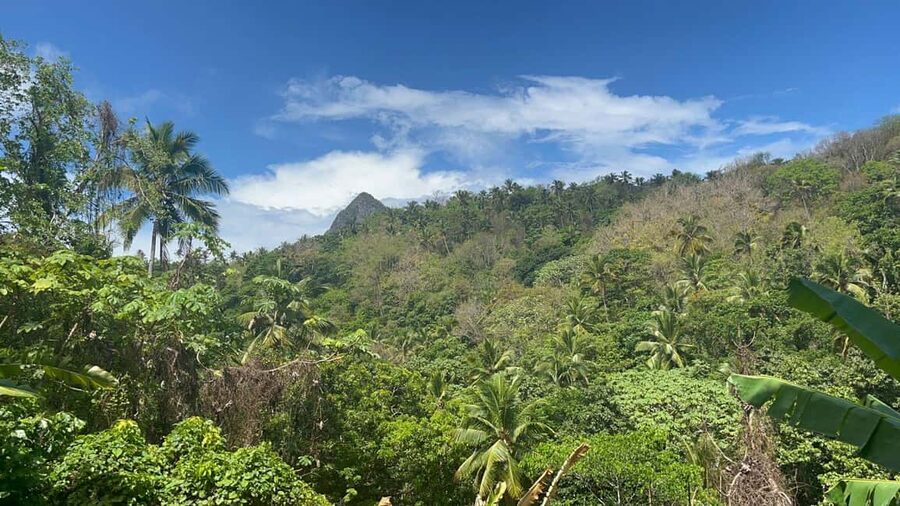St. Lucia: Safi Estate, Volcano Waterfalls Experience - Picking mangoes and tasting fresh coconut water