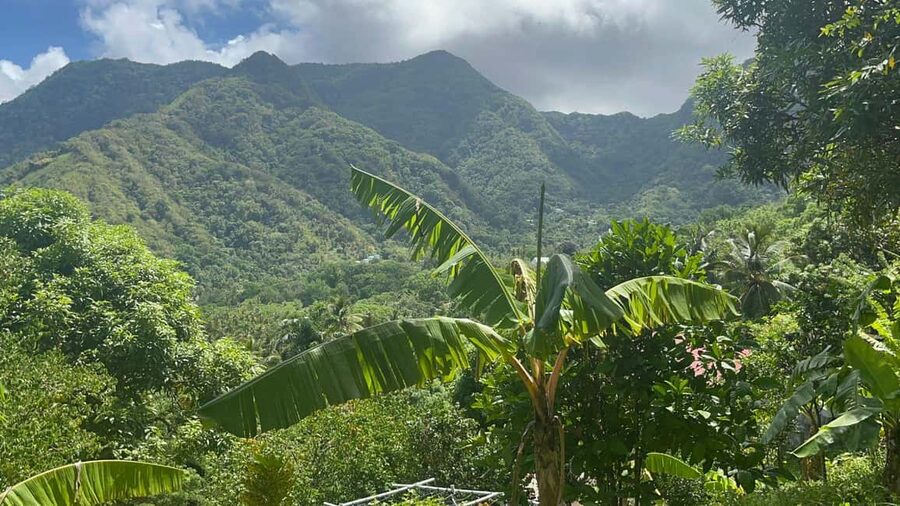 St. Lucia: Safi Estate, Volcano Waterfalls Experience - Meeting Kenneth among the fruit trees