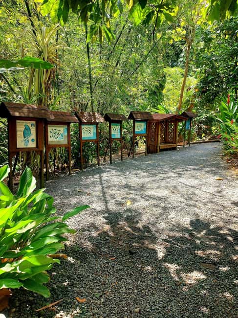 St. Lucia: Scenic Nature Hike & Botanical Garden Escape - Why this six-hour route works