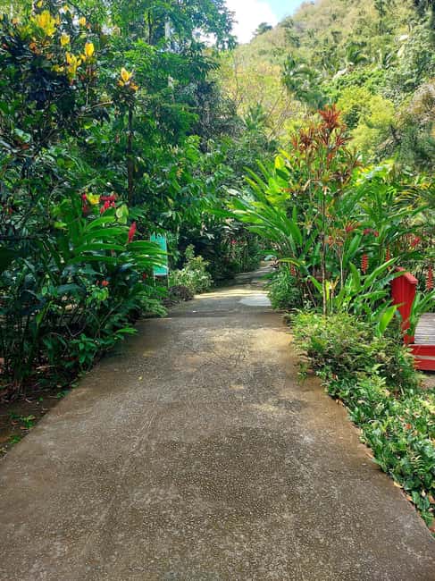 St. Lucia: Scenic Nature Hike & Botanical Garden Escape - Should you book it?