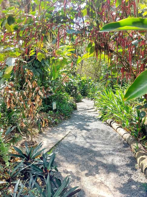 St. Lucia: Scenic Nature Hike & Botanical Garden Escape - From Castries to Roseau by private SUV