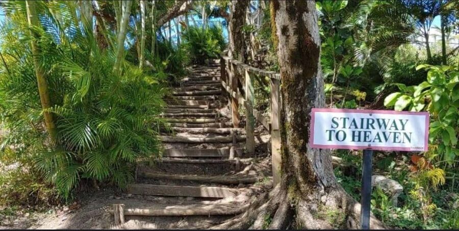 St. Lucia: Scenic Nature Hike & Botanical Garden Escape - Diamond Falls Botanical Gardens and the plant collection