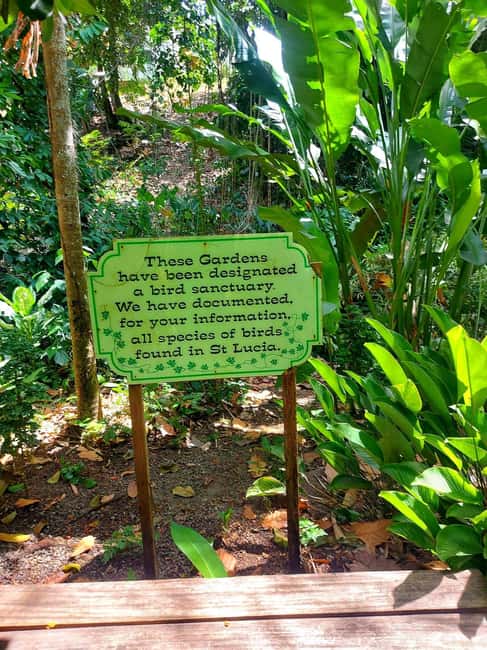 St. Lucia: Scenic Nature Hike & Botanical Garden Escape - Guides, drinks, and the small details