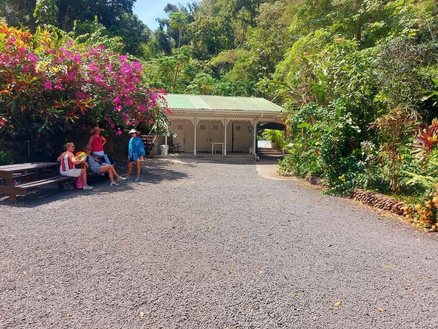 St. Lucia: Scenic Nature Hike & Botanical Garden Escape - Anse La Raye and Canaries on the coastal road