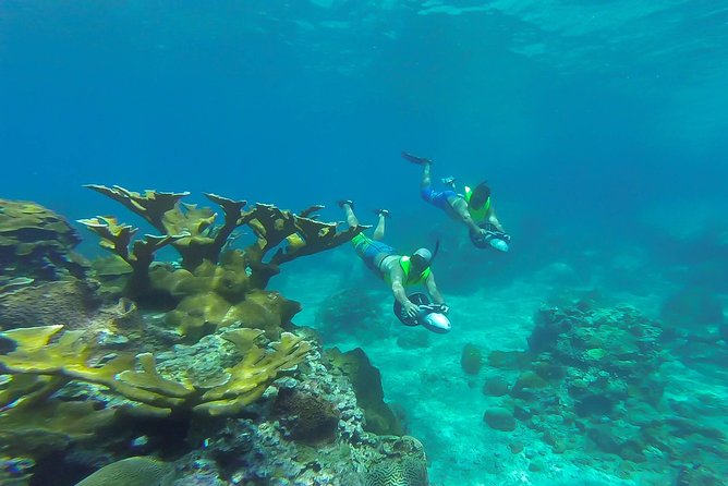 St. Lucia Speedboat and Power Snorkel From Castries - Is the $231.58 Price Worth It?