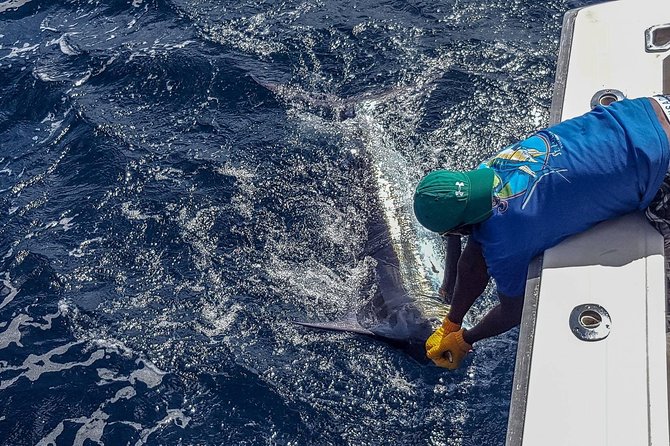 St Lucia Sport Fishing Tour - Bertram boats and supplied fishing gear