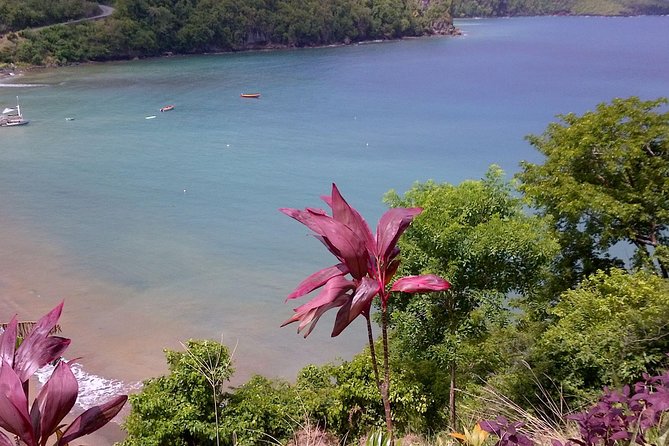 St. Lucia Tet Paul Nature Trail Tour - The Pitons and the southern coast